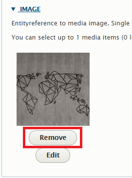A screenshot of the Image field with the Remove button highlighted